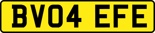 BV04EFE