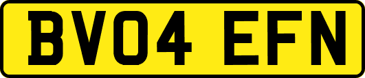 BV04EFN
