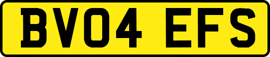 BV04EFS