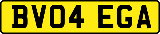 BV04EGA