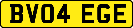 BV04EGE