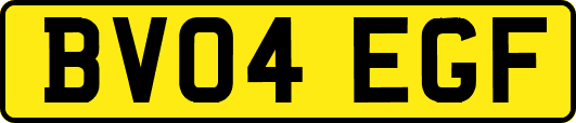 BV04EGF