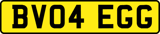 BV04EGG