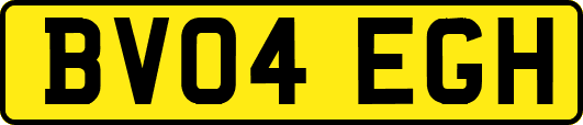 BV04EGH