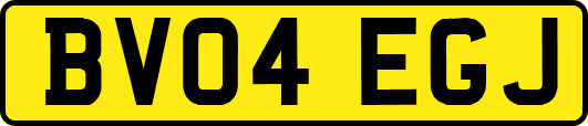 BV04EGJ