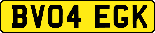 BV04EGK