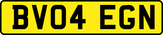 BV04EGN