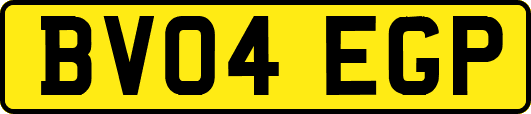 BV04EGP