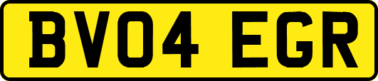BV04EGR
