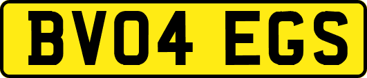 BV04EGS