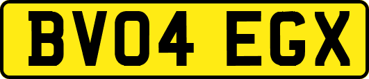 BV04EGX