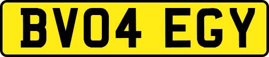 BV04EGY