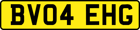 BV04EHG