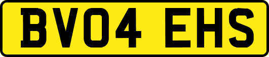 BV04EHS