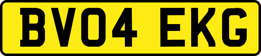 BV04EKG