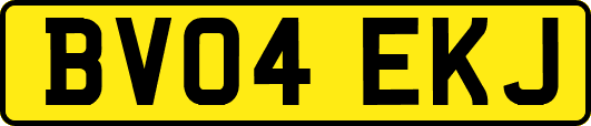 BV04EKJ