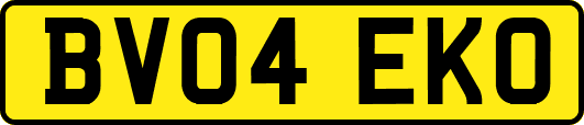 BV04EKO