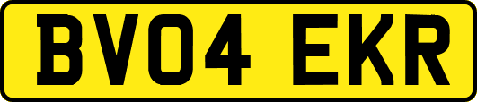 BV04EKR