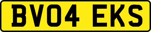 BV04EKS