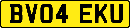 BV04EKU