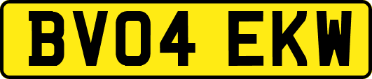 BV04EKW