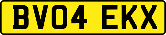 BV04EKX