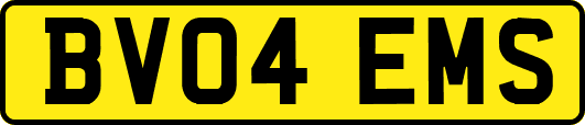 BV04EMS