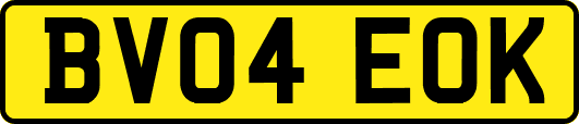 BV04EOK