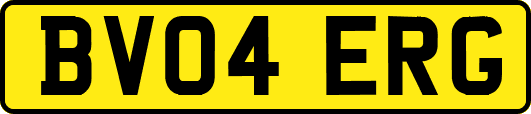 BV04ERG