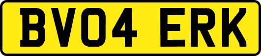 BV04ERK