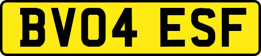 BV04ESF