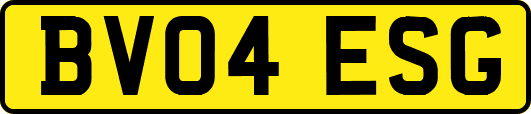 BV04ESG