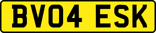 BV04ESK