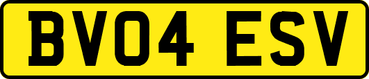 BV04ESV