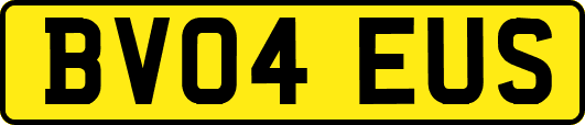 BV04EUS