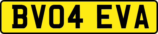 BV04EVA