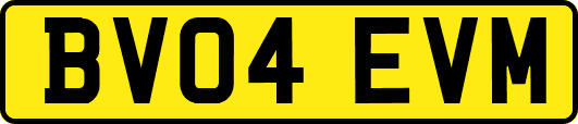 BV04EVM