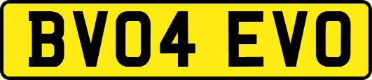 BV04EVO