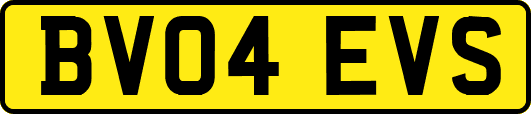 BV04EVS
