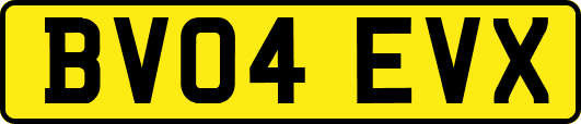BV04EVX