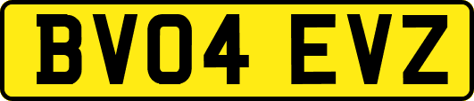 BV04EVZ