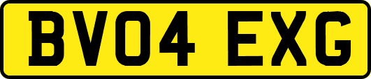 BV04EXG