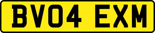 BV04EXM