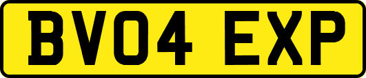 BV04EXP