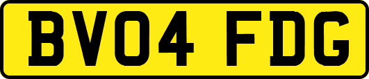 BV04FDG