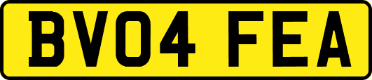 BV04FEA