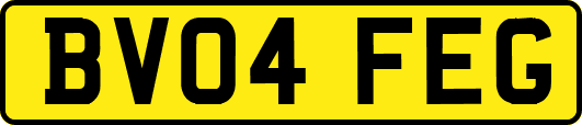 BV04FEG