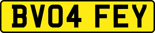 BV04FEY
