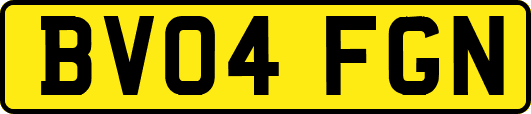 BV04FGN