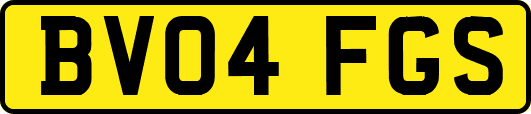 BV04FGS